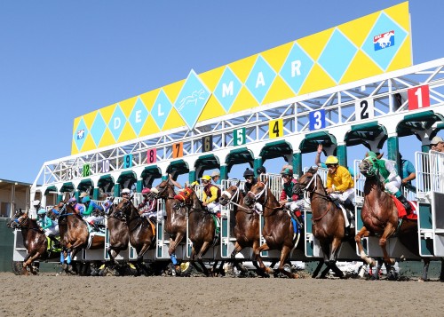 Horse Racing for Bookies
